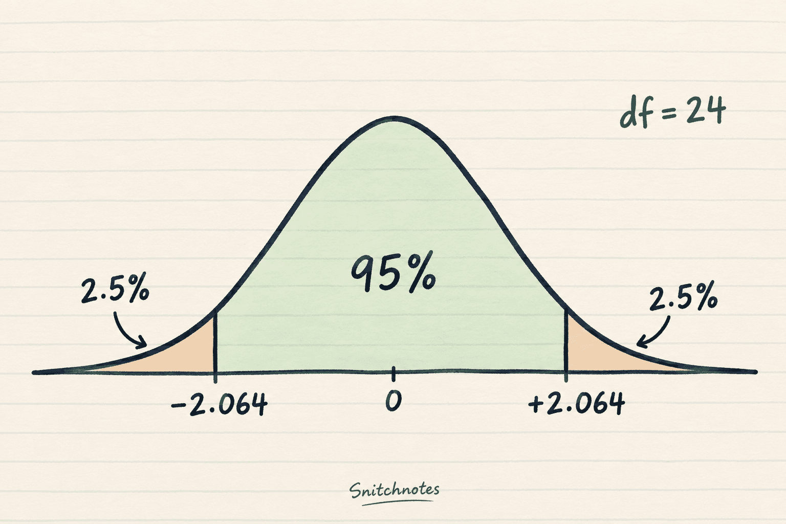For 24 degrees of freedom, the two-sided 95% t critical values are approximately −2.064 and +2.064, leaving 2.5% in each tail.