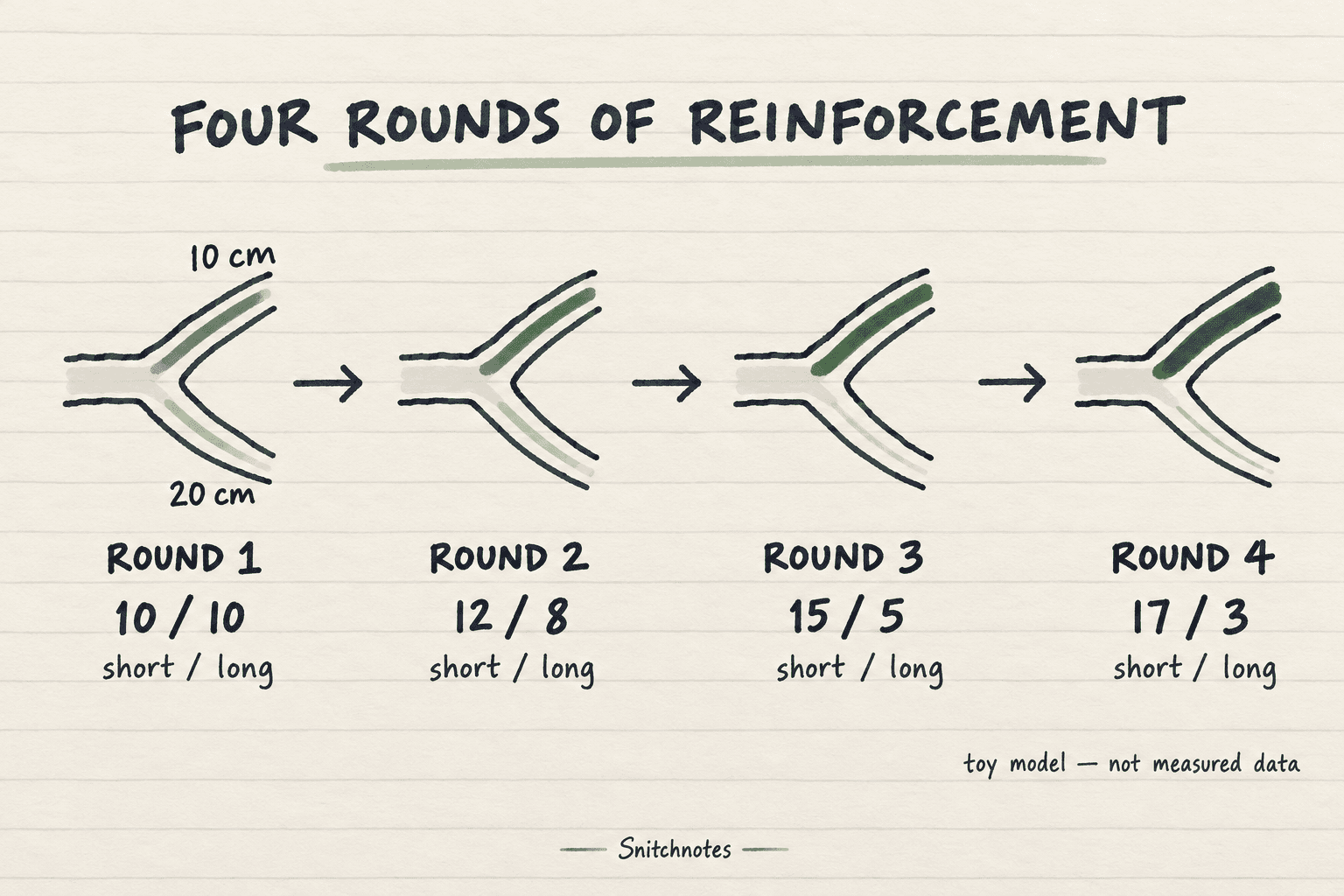 In this hypothetical teaching model, a small early advantage grows across four rounds; the figures are illustrative, not experimental data.
