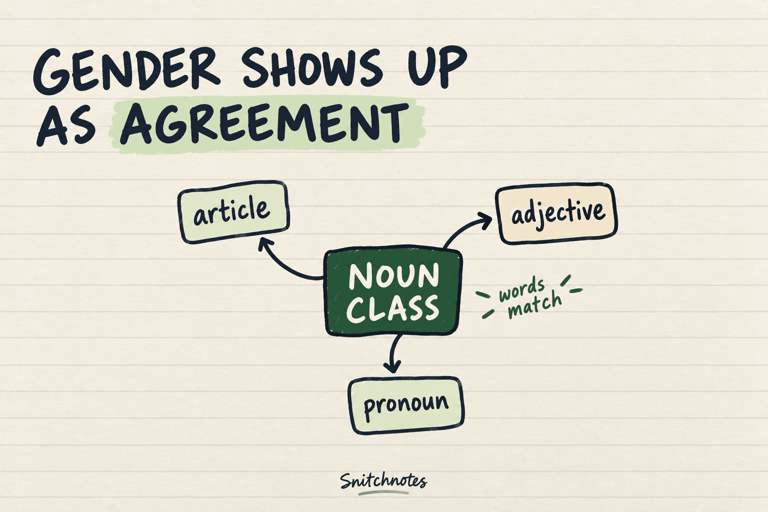 Grammatical gender is a noun-class system made visible when articles, adjectives, pronouns, or other words agree with the noun.